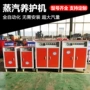 养护蒸养蒸汽发生器蒸汽机