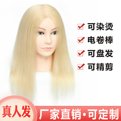 Real Human Hair Wigs with Dyeing and Perm Styling, Model Heads for Hair Salons, Apprentice Practice for Perm, Cut, Bleaching, Dyeing, Styling, and Action Figures