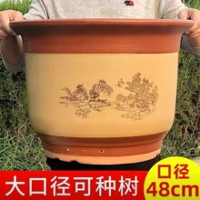 �����մ����Դ�̖�ڏ���������Gֲ�����մɻ���