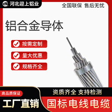 厂家直发可定制 铝合金导体绞线 架空裸绞线户外工程国标铝芯电缆