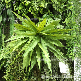 ���滨��Gֲֲ��¹��ާ����ާ�~�ٲݲ�ƺ΢���Wʽˮ�����쾰