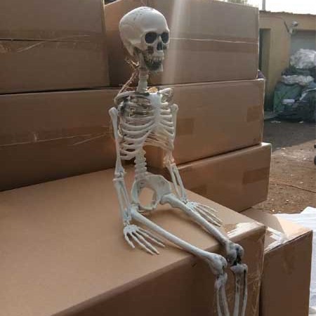 Halloween horrores props 90cm esqueleto humano simulado estante esqueleto de plástico sala secreta adornos de cadáver seco horrores