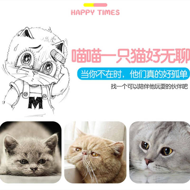 11312400485_595658654