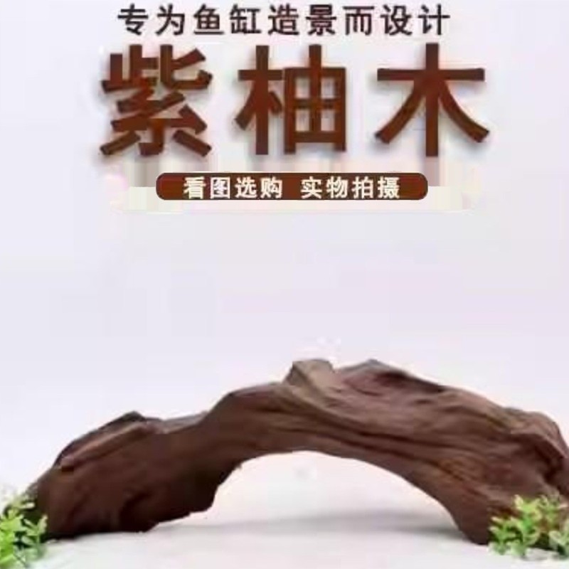 杜鹃根栖根紫柚木沉木鱼缸水草缸树枝树根造景沉木一木成景|undefined