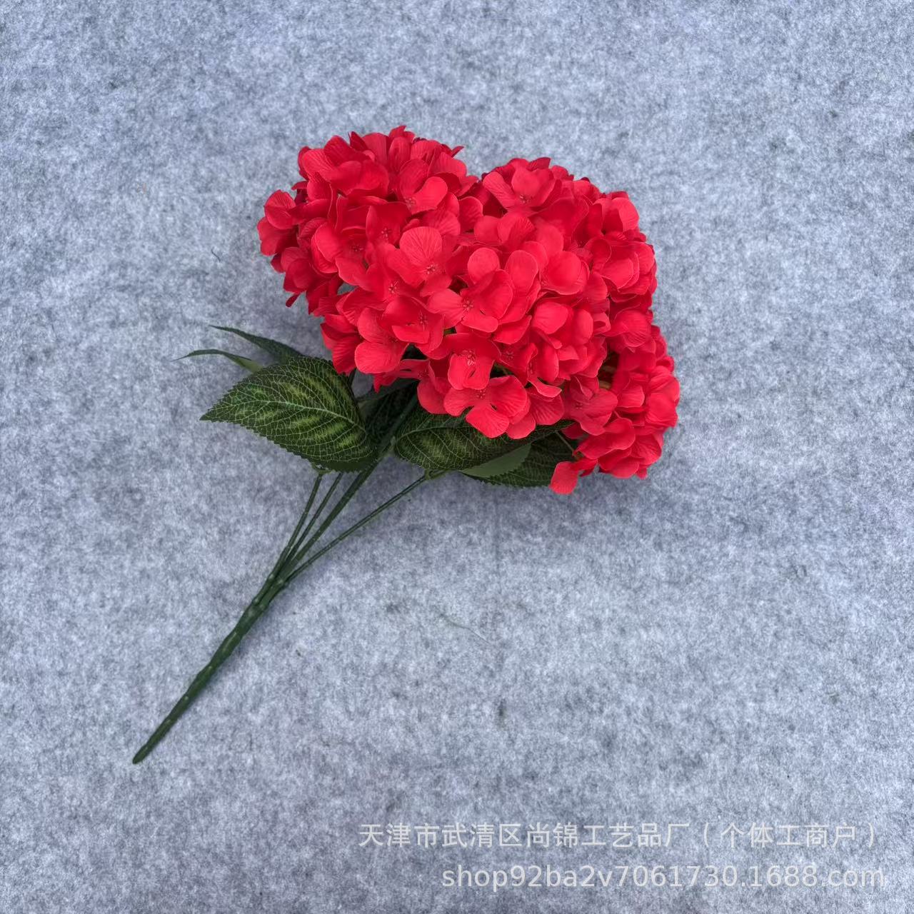 빅 레드