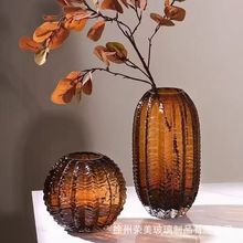 创意小众高级感花瓶玻璃仙人球水养鲜花客厅轻奢桌面插花艺术摆件