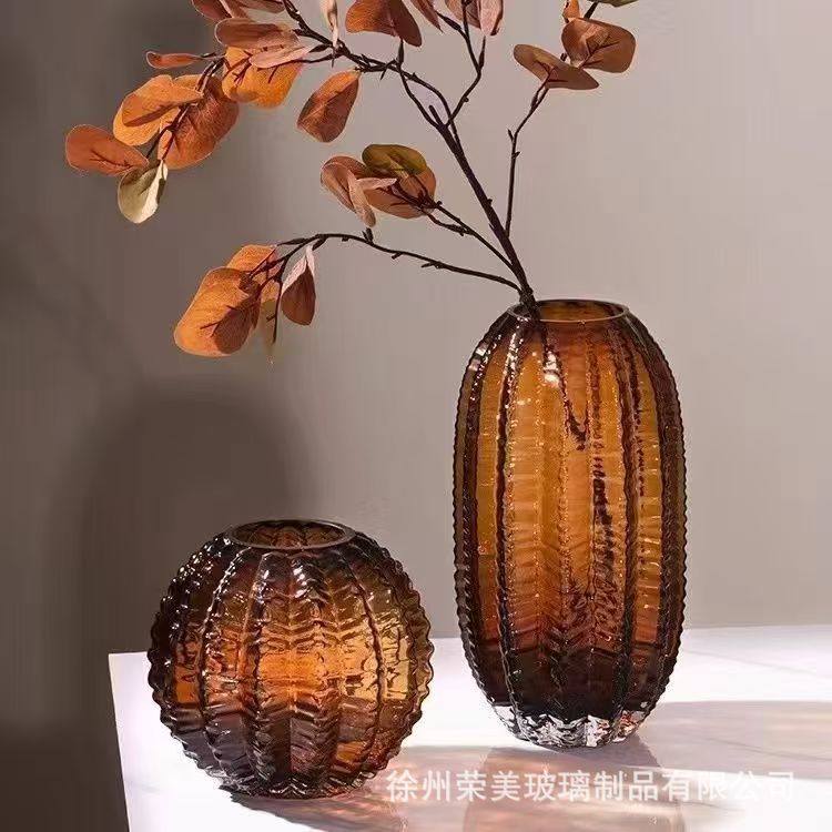 创意小众高级感花瓶玻璃仙人球水养鲜花客厅轻奢桌面插花艺术摆件