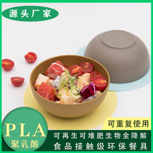 環保PLA可降解沙拉碗家用西餐大中小號湯碗沙拉碗餐具廠家直銷