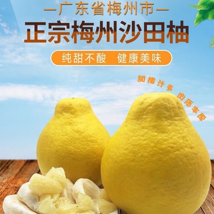 正宗沙田柚梅州柚子纯甜梅县当季新鲜水果白心孕妇批发非广西容县