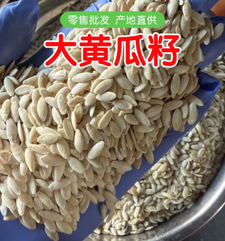 Dried Cucumber Seeds Northeast China New Crop Premium Grade 1 Jin Retail Wholesale overview