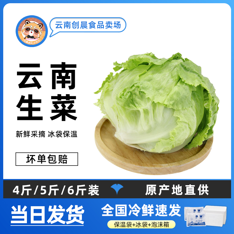 云南球生菜 新鲜圆生菜西生菜圆生菜包邮5/6斤装西餐沙拉蔬菜即食