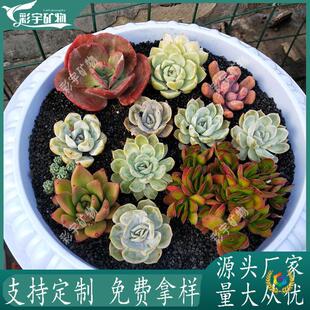 &reg;�ڽ�ɳ�@ˇ���ʯˮ���ɰ�~���b����쾰�ú�ɫʯӢɰ�@ˇ��