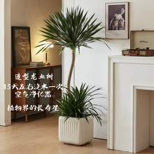 ������Ѫ��͏d�Gֲ�҃ȴ���������횘��k���Һ��B���ֲ�����F��