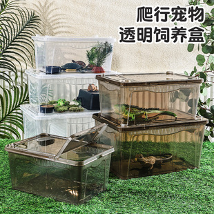 ������B�䌙���،m΁ţ����ǁ�����֩����������������B��