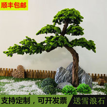 ����ӭ�����_�h�ɘ�Gֲ�������辰�[������ʽ���P�쾰ѩ���Rβ��