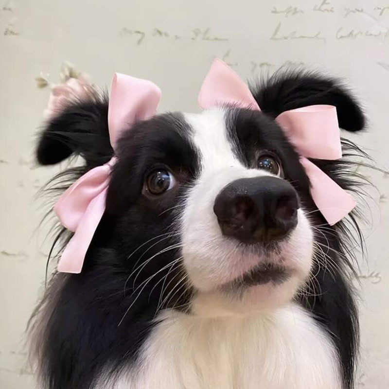 Cute hairgrip with bow