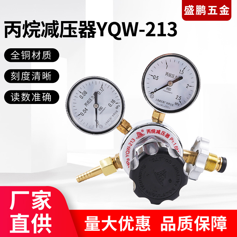 丙烷减压器.YQW-213  全钢材质调节器带双表气体减压阀调节高压力