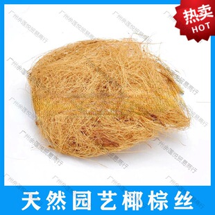 Ҭ�ؽz�b���Ȼ�������xҬ�����躣�����ʯֲ������ˇ���֘I��