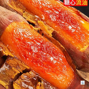 ɽ�|����25̖��������9��t�����r�r��ɳ�ؿ��عϷ�����ɽ����]5