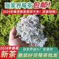 【2024年新茶莓茶批发】张家界莓茶藤茶 基地直采莓茶现货批发