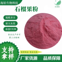 石榴果粉 优质果粉 SC厂家 水溶 现货速发 量大优惠