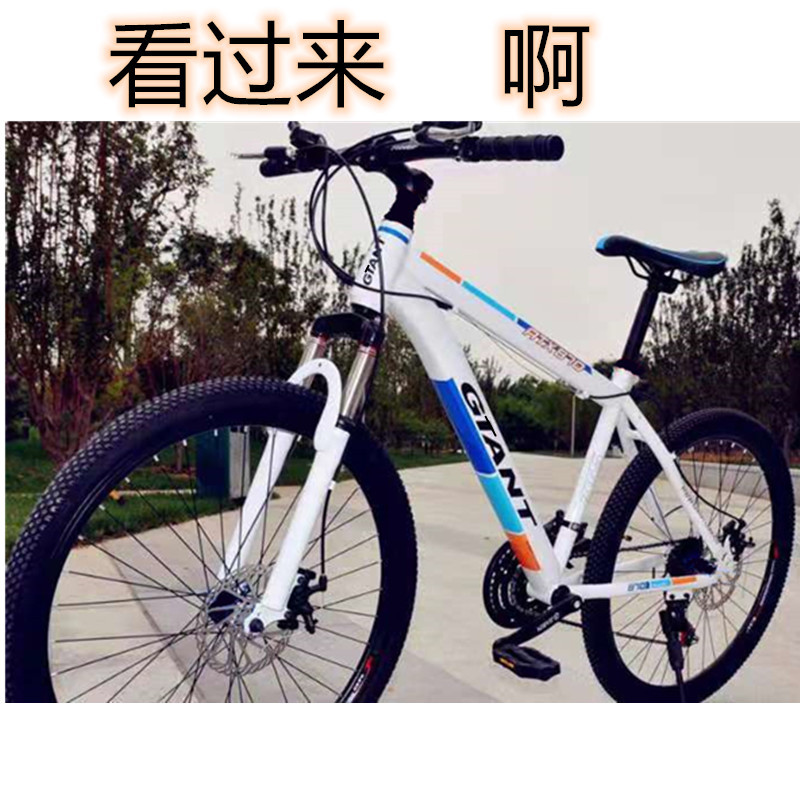 未命名_副本