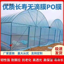 ϻoĤPOĤ͸Ĥ߲˱ĤӺĤl̫