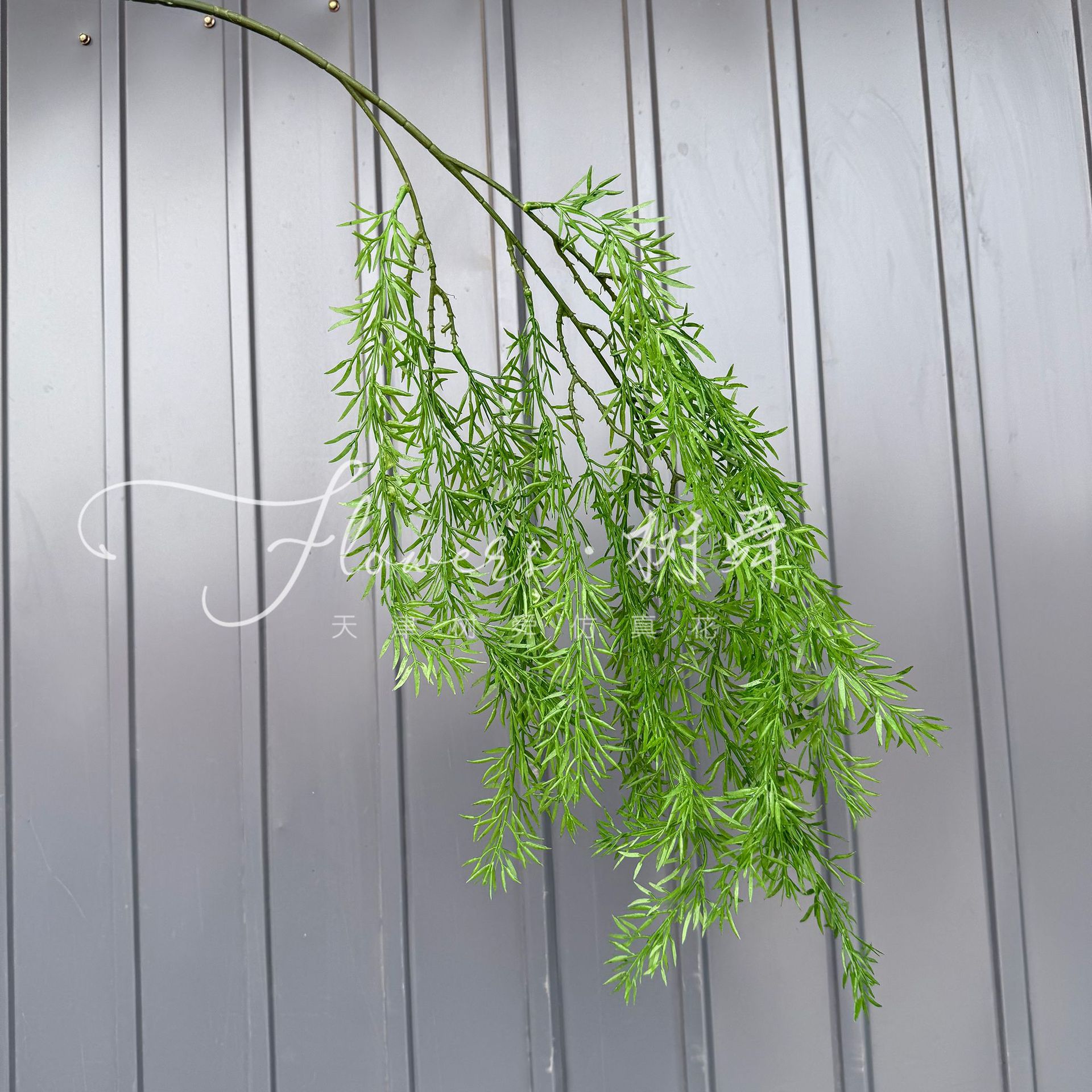 Hierba de hoja de bambú colgante