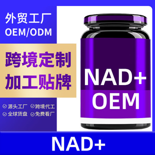 ����DNA+���������z�ҁ��R�d���Q��޼�J���ӹ�ֲ���N��NAD+Ӳ�z��