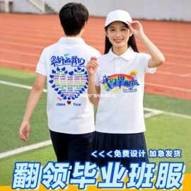 毕业季班服幼儿园小学生初高中t恤POLO衫翻领短袖定制广告文化衫