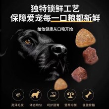 狗粮批发成犬粮通用型40斤金毛耶马犬泰迪大型犬中型犬10斤5代发