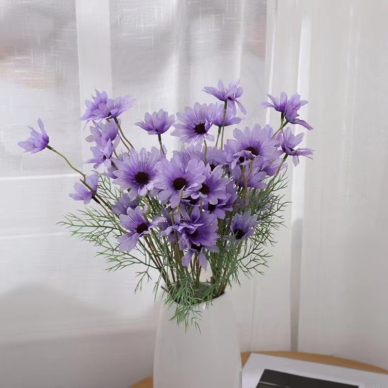 진한 보라색 데이지 5개