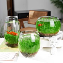 diy�~�����Bƿ�����廨ƿˮ��ݷN���ļ�΢���^�[���@ˇ�[����ƿ