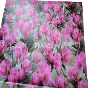 17-35G�t���r�����b�ÿ�ؐ��ӡˢLOGO �·����b��ӡˢ�D��