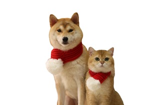 Cross Border Amazon Pet Christmas Scarf Cat Dog Scarf Big Dog Scarf Pet New Year Red Scarf