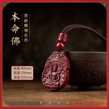 ��ɰ��������������������2026�걾�����������_�R���o����