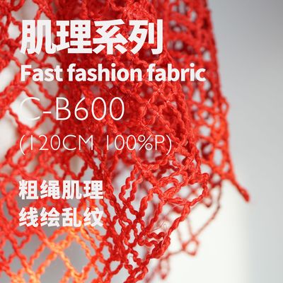 粗绳镂空肌理 线绘乱纹 设计师面料C-B600