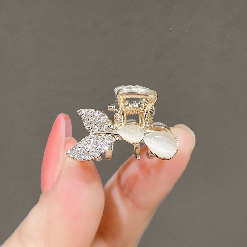 Pez ojo de gatito-diamantes de imitación