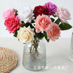 �Y���滨�ֹ������l�ָб���õ��ins�L���Ҿ��b[�������ٻ�