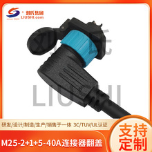 M25-2+1+5-40AĦ﮵سŵʽĦ