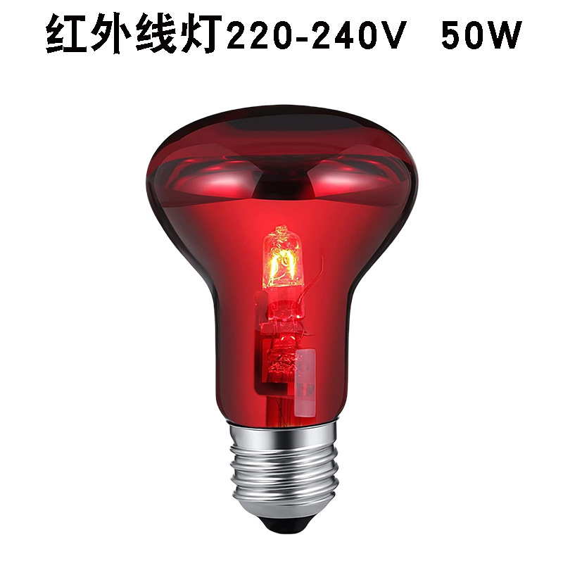 R63220v 적외선 램프 50w