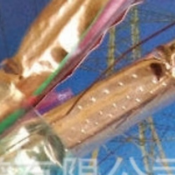 LEU-BSL23型 4芯LEUBSYYP