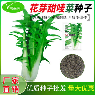 ��ѿ�����˷N�ӻ��~���O�˷N�ѿڸ����a�ļ��r�Ҳˈ@�߲˷N