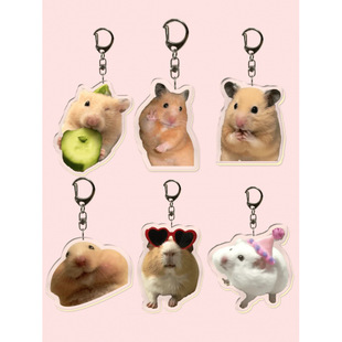 G 77324 Pet photo keychain ������Ƭ耳׿ۿ羳���uͨ���R