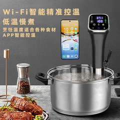 低温調理機 家庭用WIFI版 スー・ヴィッド低温調理棒 真空家庭用調理機 分子料理