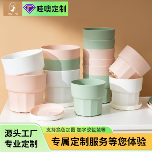 Plastic resin Nordic simple green rose fleshy root control small gallon flowerpot factory direct high color value new specials
