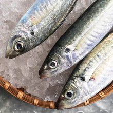 �����|ɽ�u Ұ�������~��Ʒ ���~ ���r���ˮ�a ʳ���r�aƷ