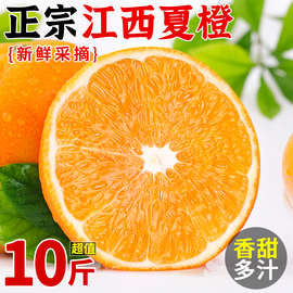 江西夏橙橙子新鲜10斤大果当季时令赣南水果手剥冰糖甜橙整箱脐橙