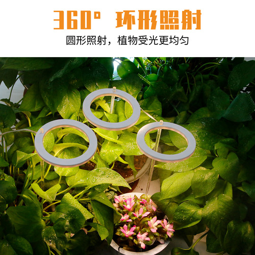 Qianrun Lighting LED Angel Ring Plant Growth Light Indoor Full Spectrum Succulent Supplement Light Smart Timer