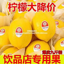 ���]�r��ե֭����ˮ����ˮ�̲���S���ʰ���ˮ�����r���ڱ�Ƥ��֭